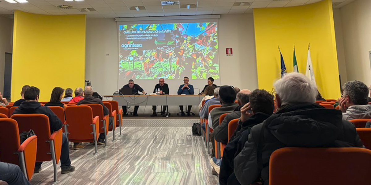 Agrintesa: formazione tecnica per affrontare le sfide del mercato